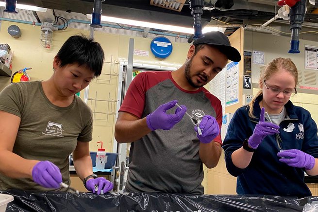 Three Orphan lab students working on field research.