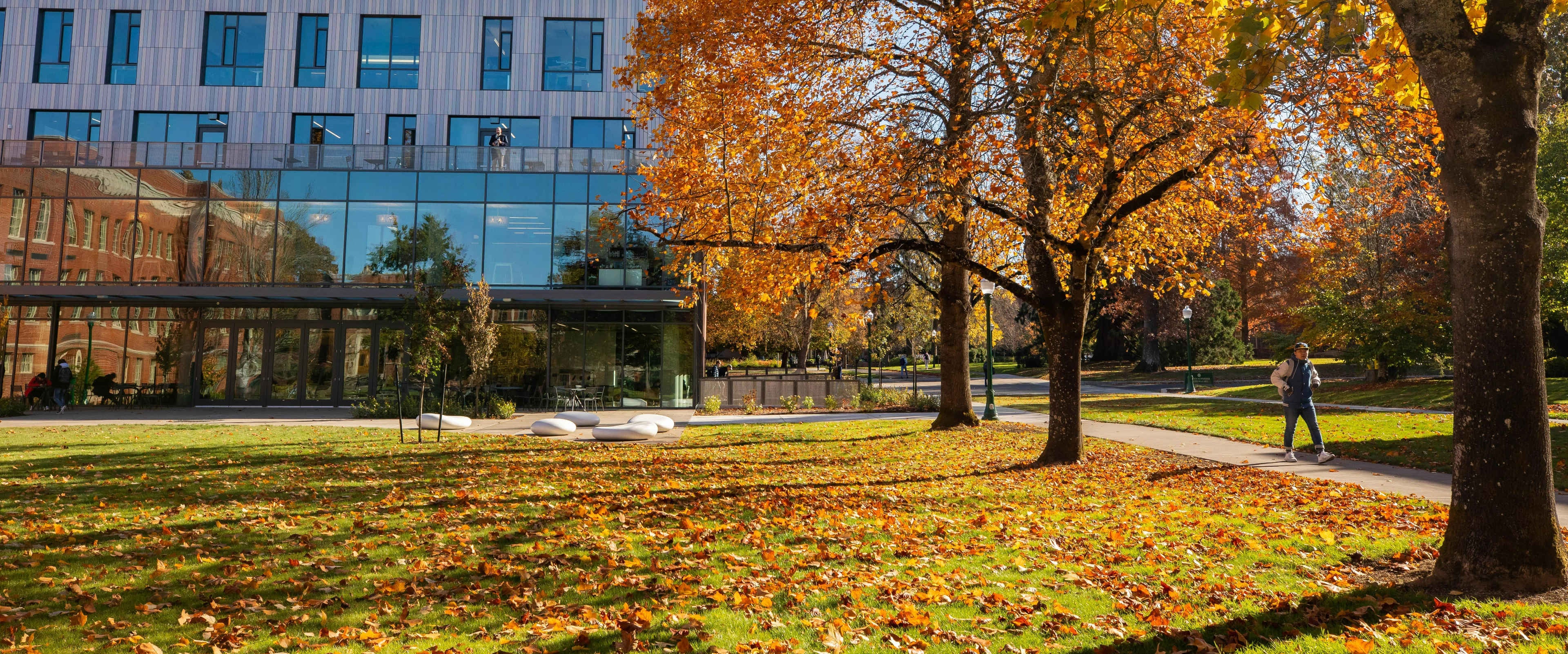 Student walking along path near Tykeson Hall under trees with autumn leaves.