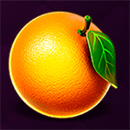 Regal Crown 25 Orange