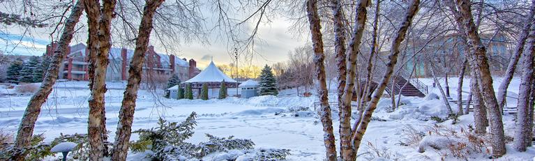 Workforce Partners WDP Snowy Winter Landscape Sunset banner image. 