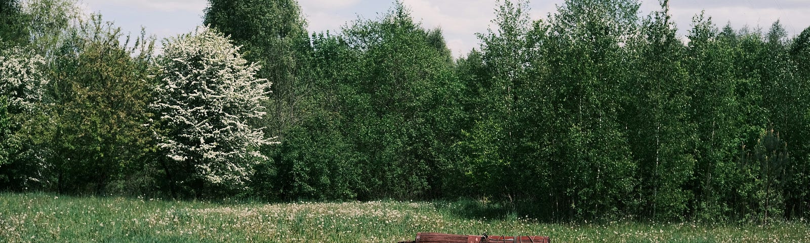 An old rusty water well sits in a grassy field on a sunny day surrounded by wilderness.