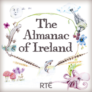 The Almanac of Ireland