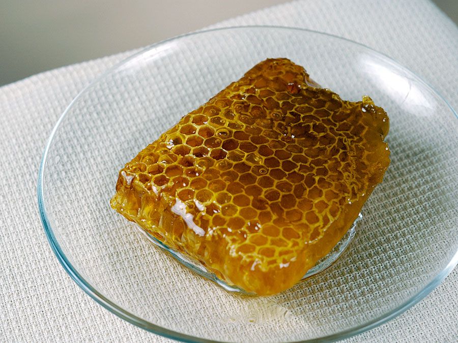 Honeycomb