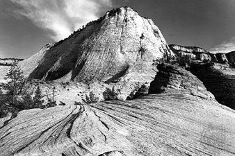 Zion National Park