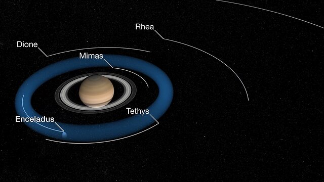 Enceladus Plume and Torus