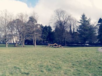 View of park on field against sky