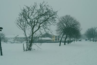 Bare trees on snow covered field against sky