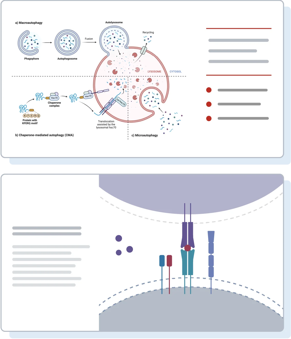 illustration of presentation slides