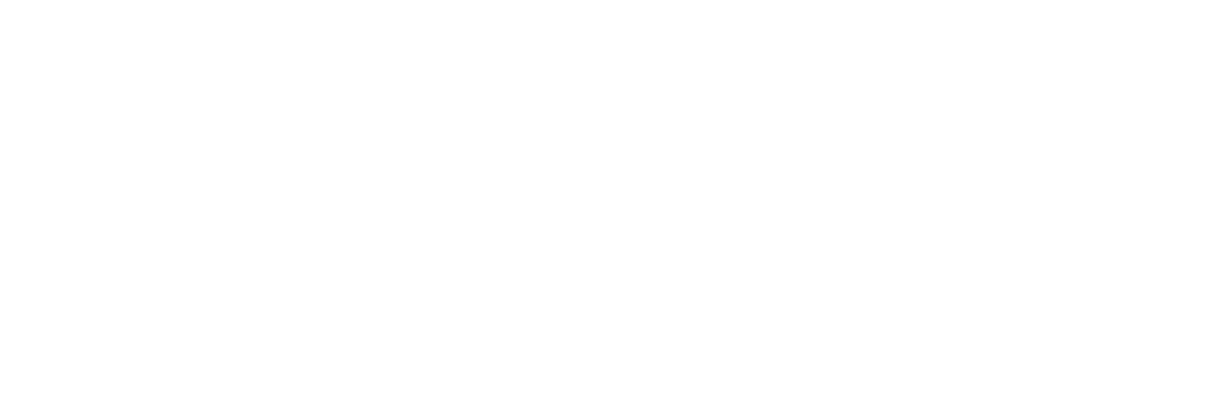 usdc grey logo