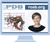 Watch the Pairwise Alignment Tool Office Hour