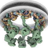 Powering a New Era in Structural Biology