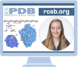 Register Now for Webinar: Exploring the Workhorses of Biotechnology