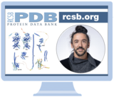 Register for the Nov 24 Virtual Office Hour on Exploring CSMs at RCSB.org