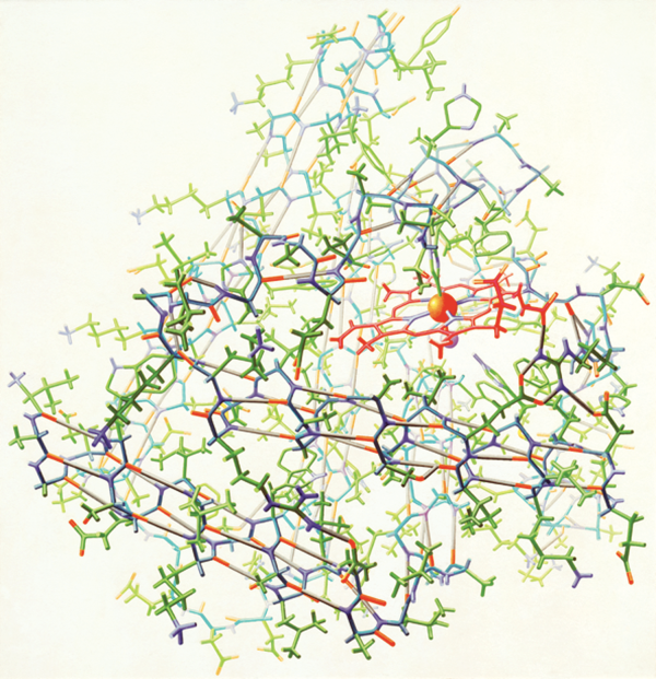 Illustration of myoglobin by Irving Geis. You can learn more about this painting at the  Geis Archive on PDB-101.Used with permission from the Howard Hughes Medical Institute, Copyright 2015