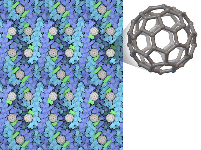 Crystal lattice of COP (blue, with tyrosine in green) with fullerenes (white).