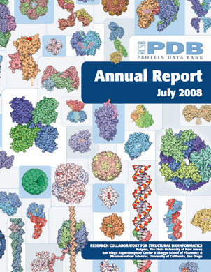 2008 Annual Report Cover