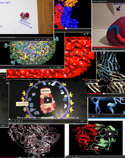 Mentoring High School Students for the RCSB PDB HIV Video Challenge by Meenakshi Bhattacharya, Cindy Jaworsky, and Karen Lucci