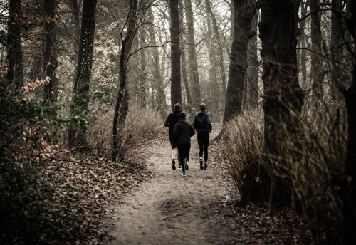 VUB-onderzoekers volgen ultralopers tijdens marathon