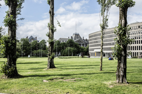 Vrije Universiteit Brussel and VUB Palestine Solidarity Network reach agreement on ending occupation 