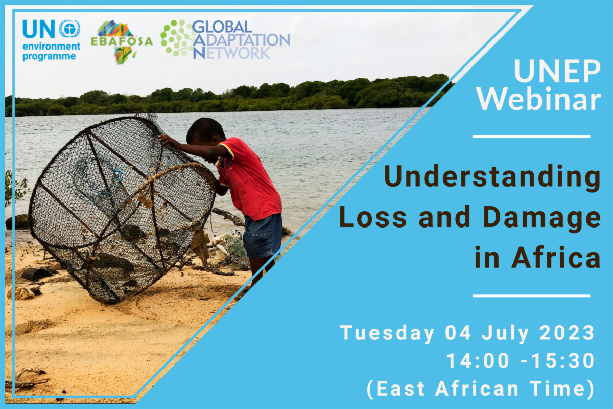 Understanding Loss and Damage in Africa