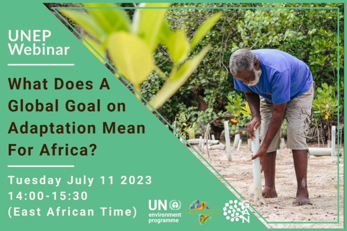 Banner image for event what does a global goal on adaptation mean for Africa