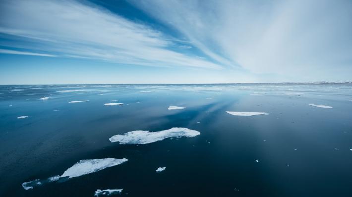 icebergs floating in svalbard