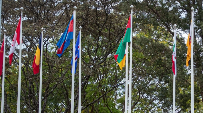 Flags of different countries floating in the wind