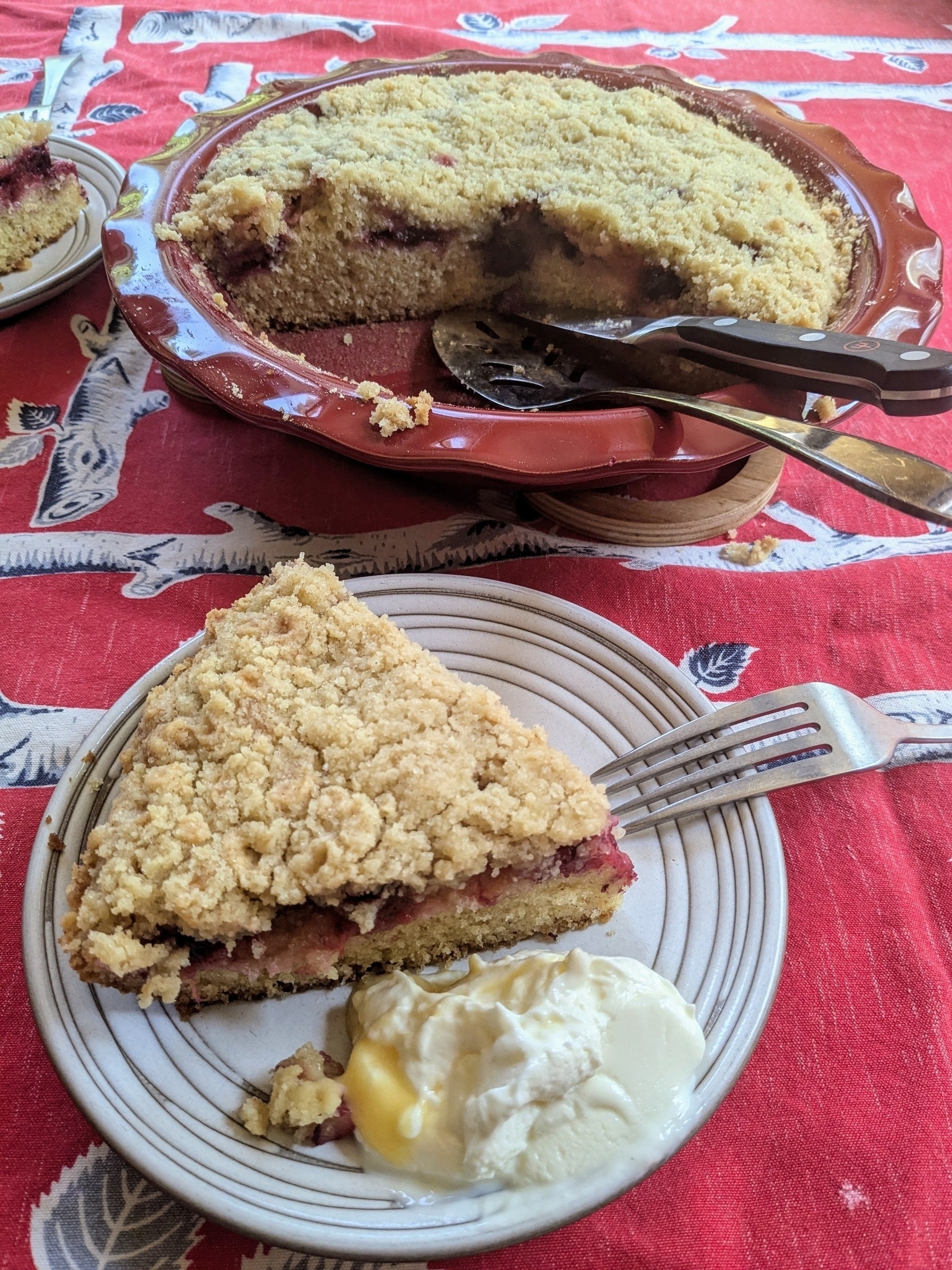 hefty wedge of crumb cake showing a pink jammy plum layer, with a dollop of lemon curd yogurt 