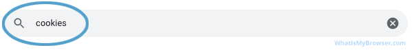 The Chrome settings search bar
