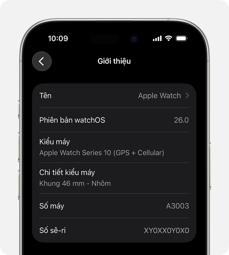 iPhone hiển thị màn hình Giới thiệu và Số sê-ri