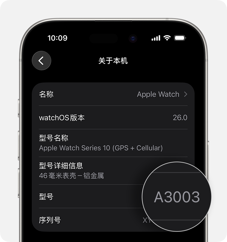 iPhone 屏幕上显示 Apple Watch 的常规设置