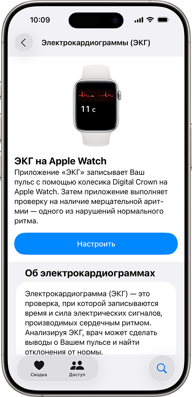 Экран настройки ЭКГ в приложении «Здоровье» на iPhone