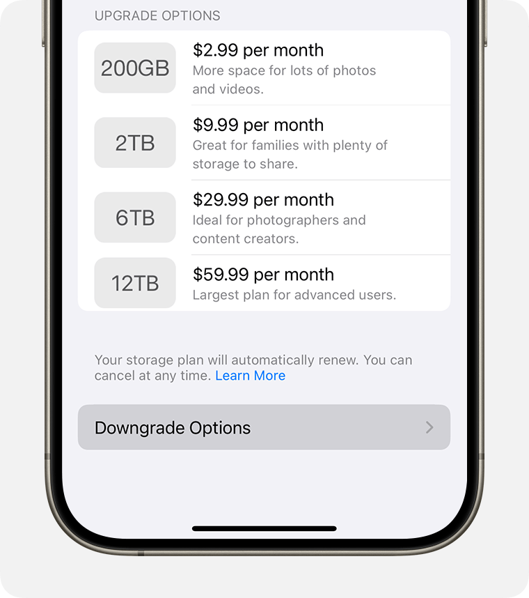 iPhone 畫面顯示降級選項切換