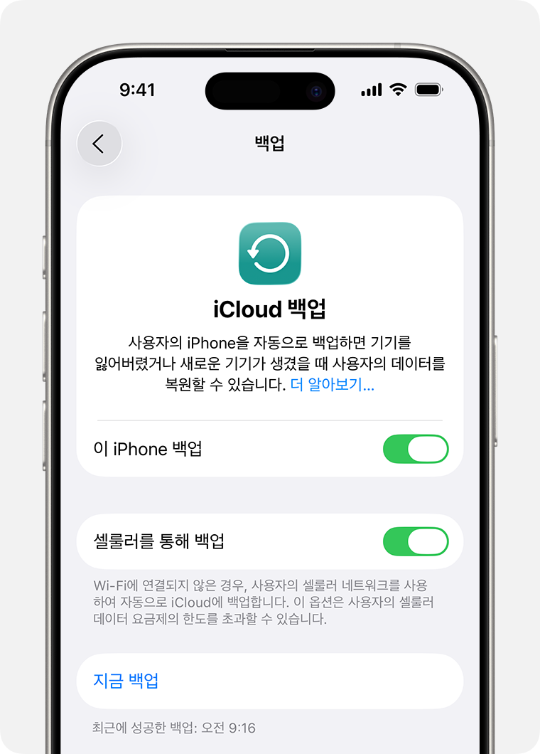 '지금 백업' 옵션이 표시되어 있는 iPhone 화면.