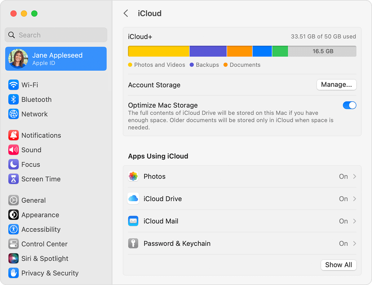 macos-ventura-system-settings-apple-id-icloud-plus-manage