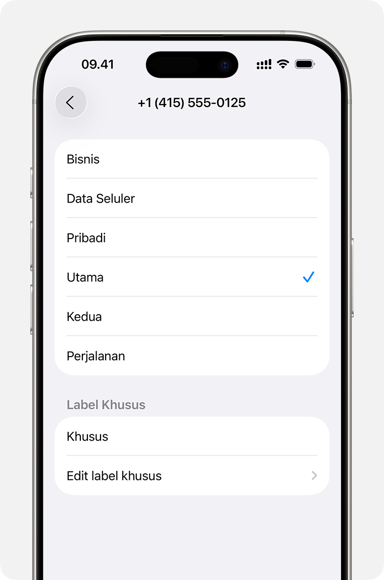Menu pengaturan dual eSIM dengan daftar label paket seluler