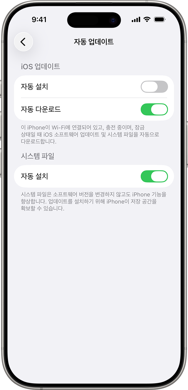 iOS 업데이트 및 시스템 파일을 자동으로 설치 및 다운로드하기 위한 제어 항목.