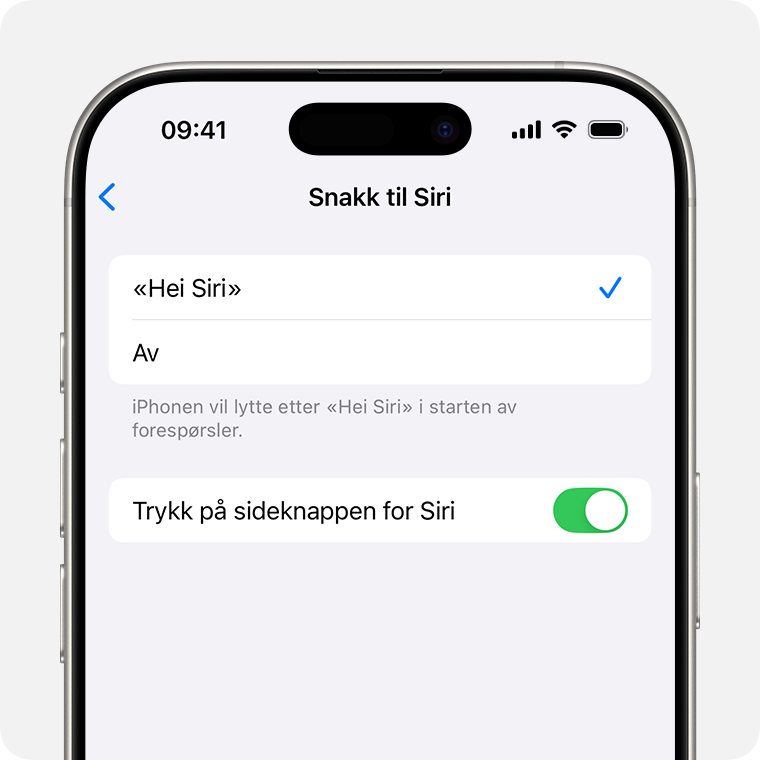 Åpent Snakk og skriv til Siri-panel som viser «Siri» eller «Hei Siri» valgt og alternativene slått på for Trykk på sideknappen for Siri og Skriv til Siri