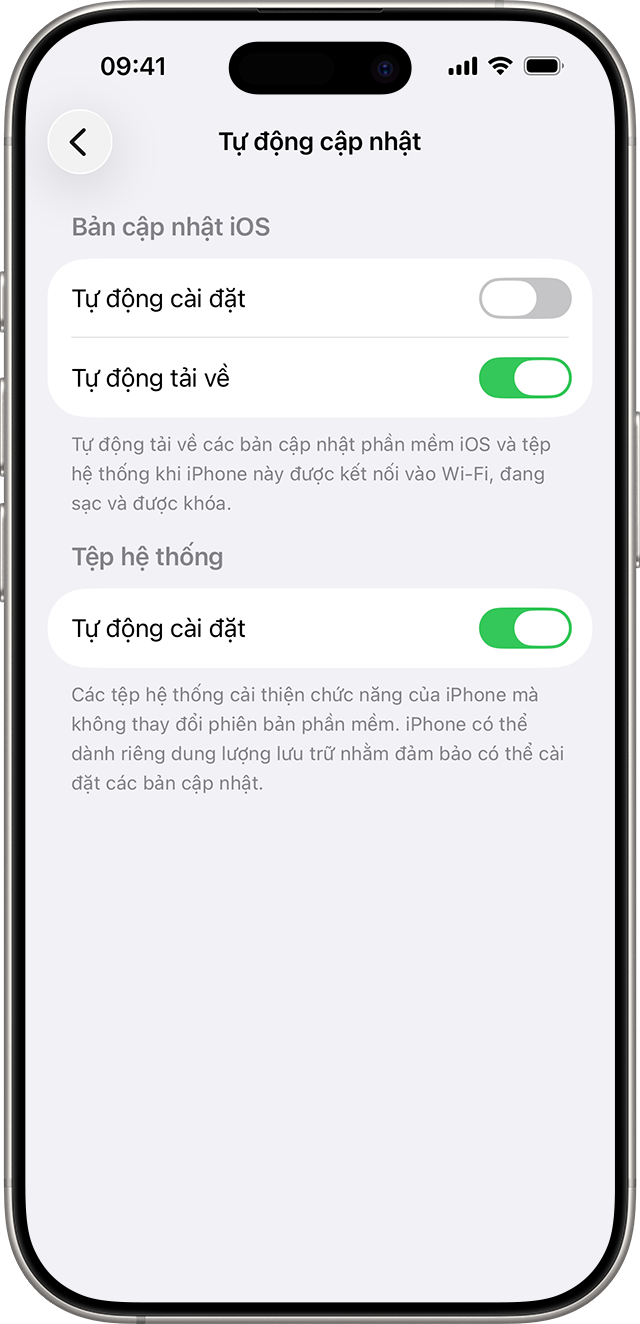Điều khiển để tự động cài đặt và tải về bản cập nhật iOS và tệp hệ thống.