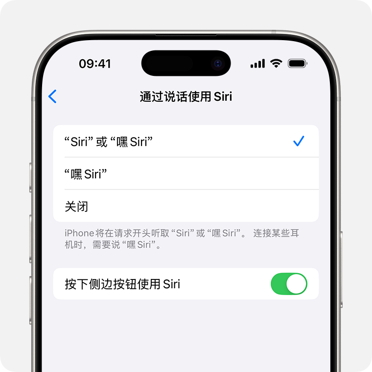 “通过说话和键入使用 Siri”面板已打开,其中显示“Siri”或“嘿 Siri”已选中,并且“按下侧边按钮使用 Siri”和“通过键入使用 Siri”的选项已打开
