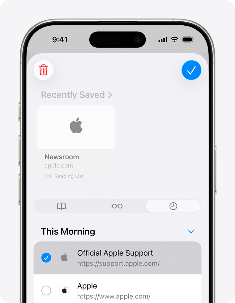 iPhone screen showing the History tab selected with a website selected to delete.