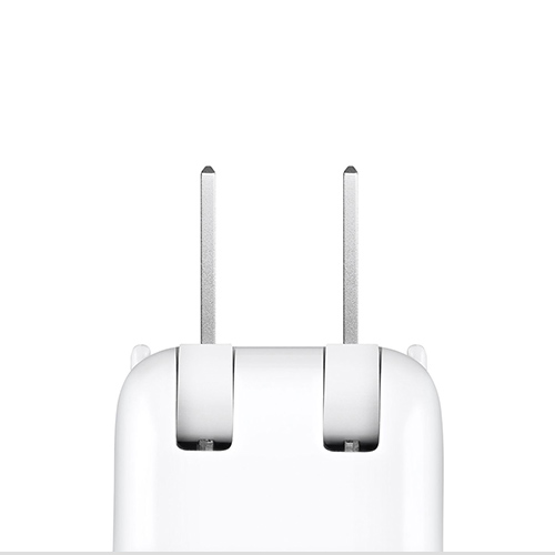 "Duckhead" adapter showing North American prongs