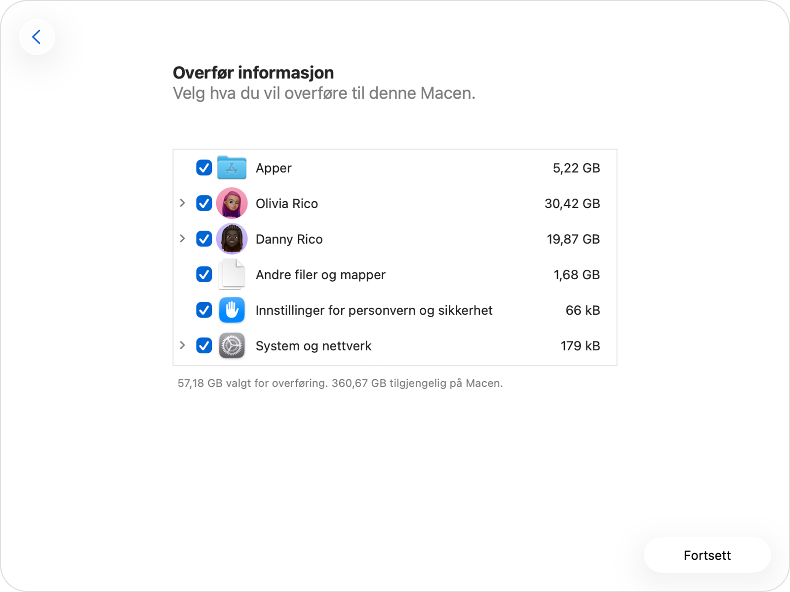 Overføringsassistent som viser de ulike informasjonskategoriene.