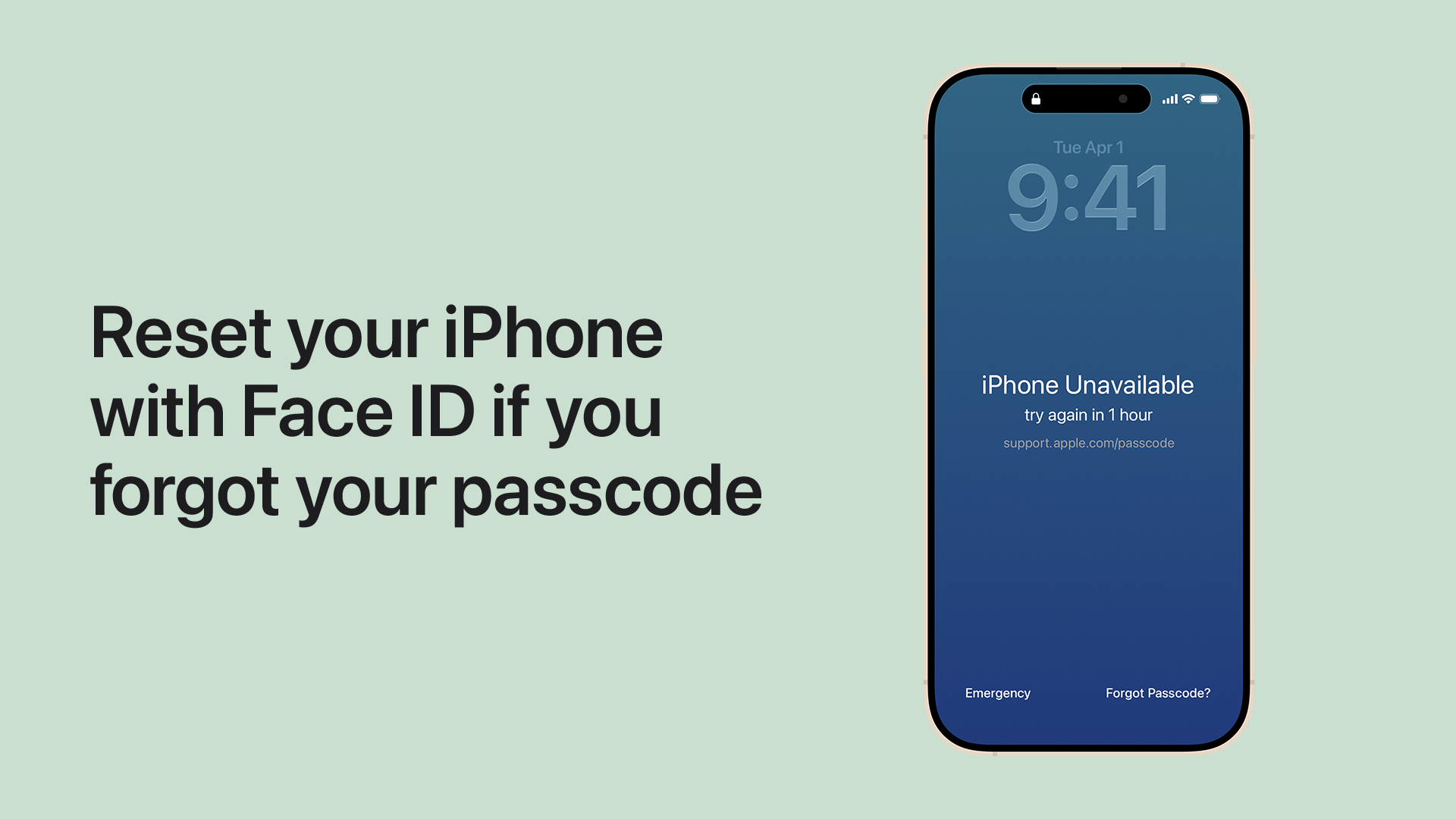 Play the video to learn how to reset your iPhone with Face ID