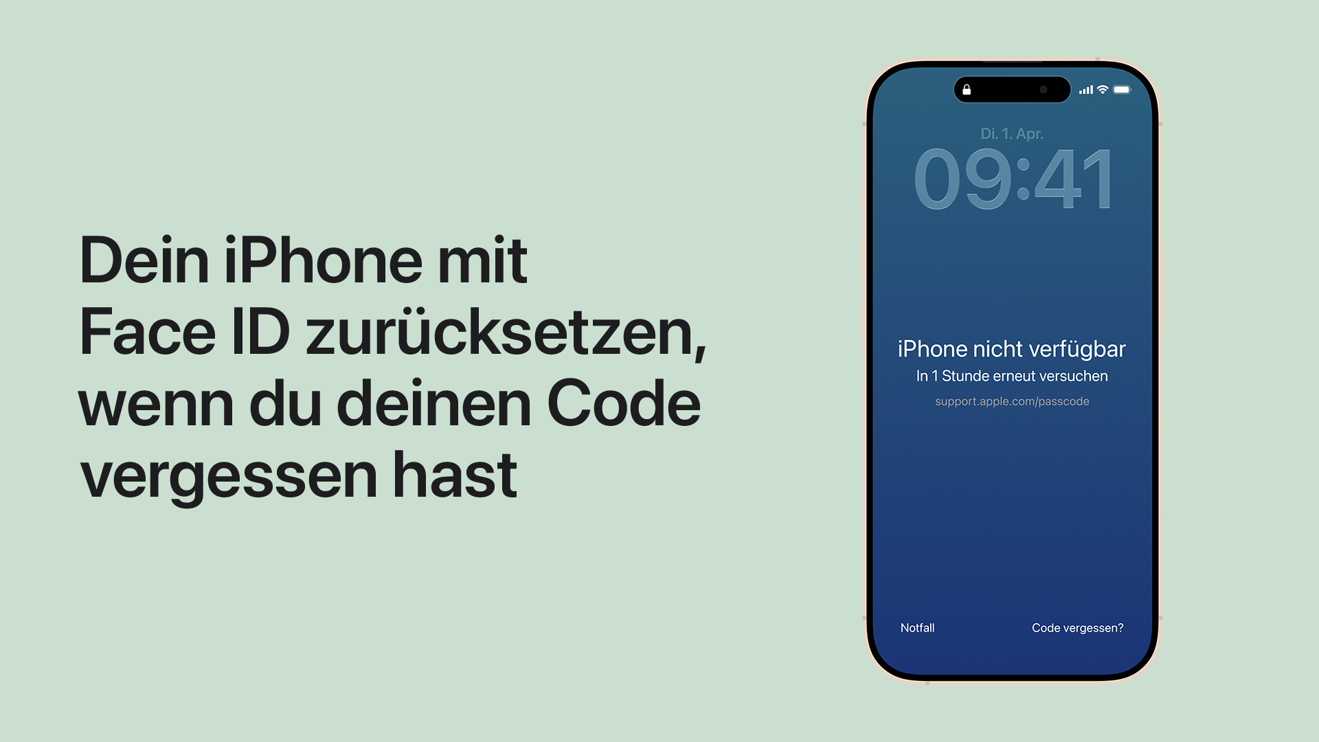 Sieh dir das Video an, um zu erfahren, wie du dein iPhone mit Face ID zurücksetzt