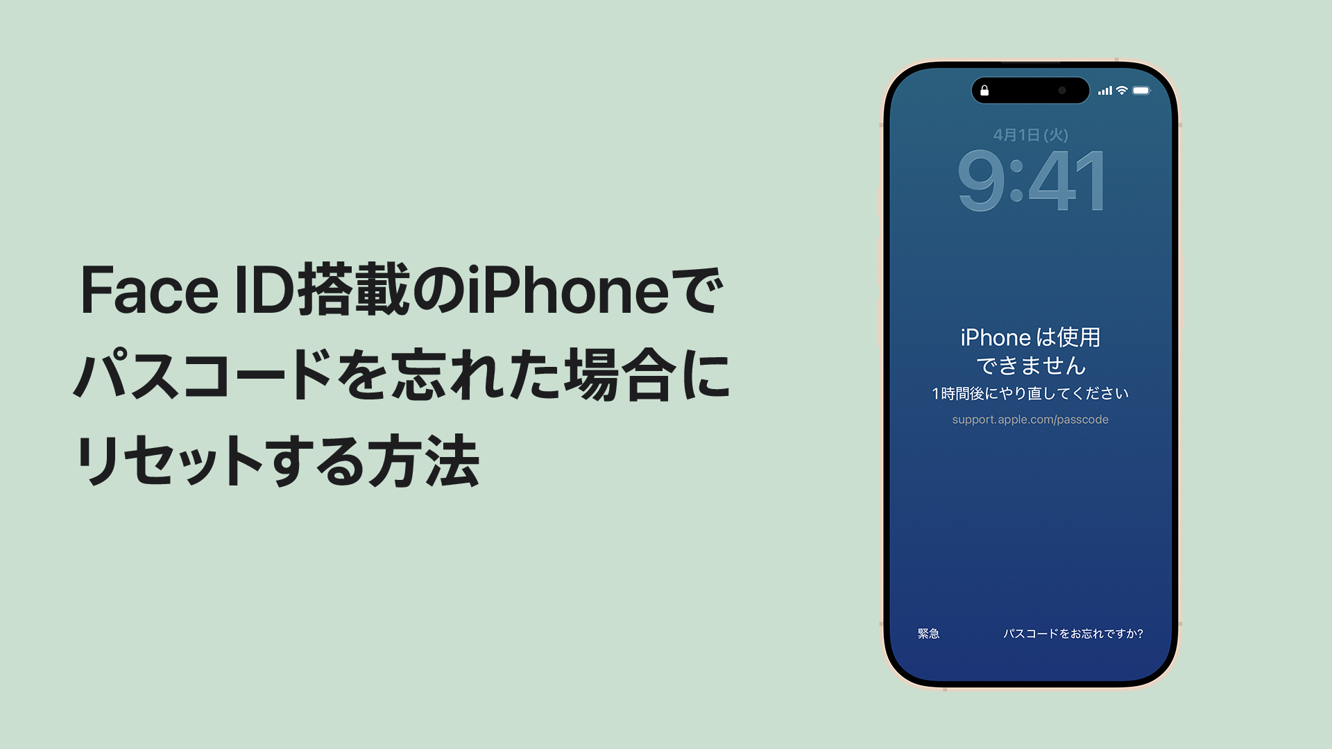 ビデオを再生し、Face IDを使用してiPhoneをリセットする方法を確認してください
