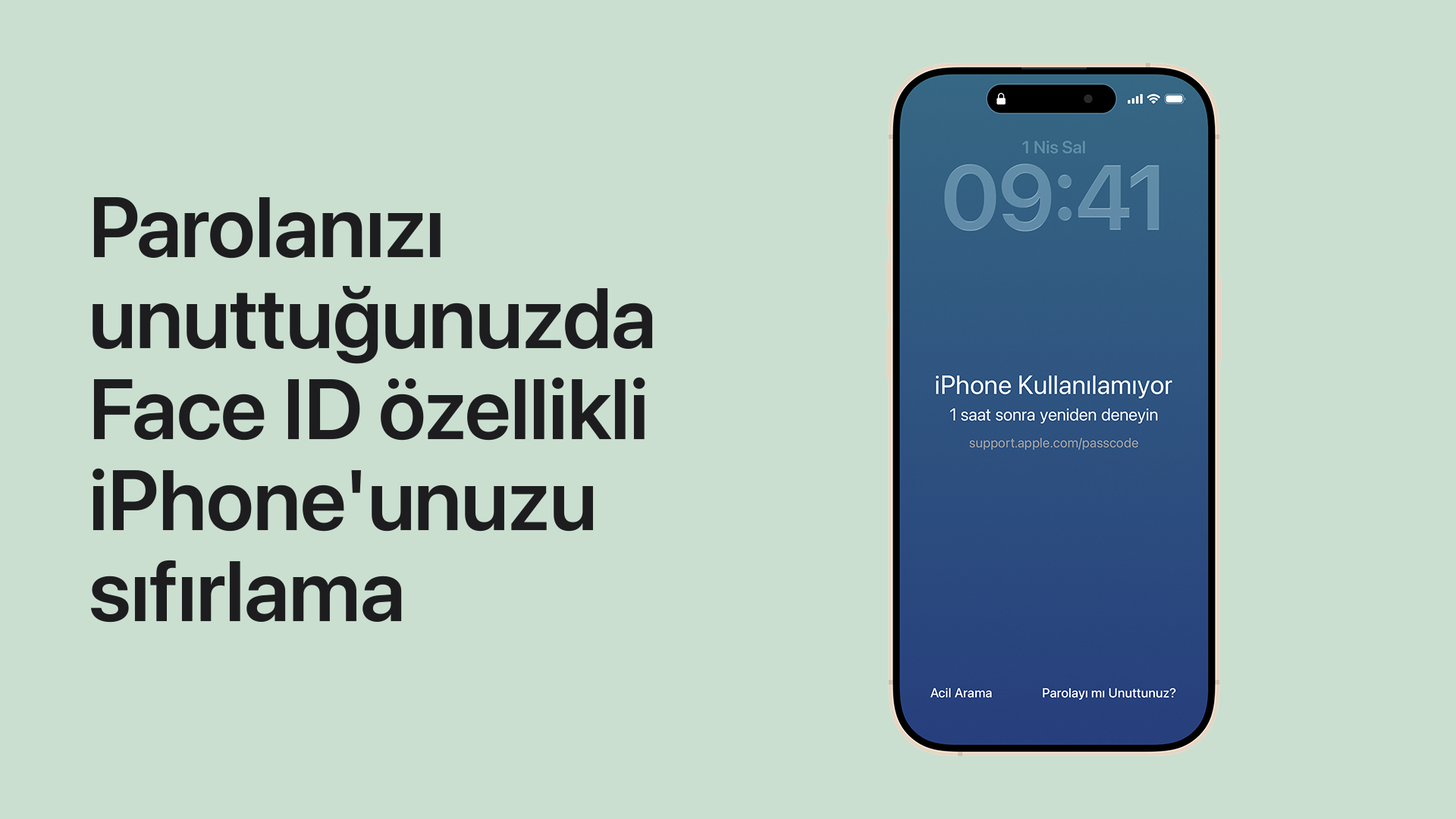 Face ID özellikli iPhone'unuzu nasıl sıfırlayacağınızı öğrenmek için videoyu oynatın