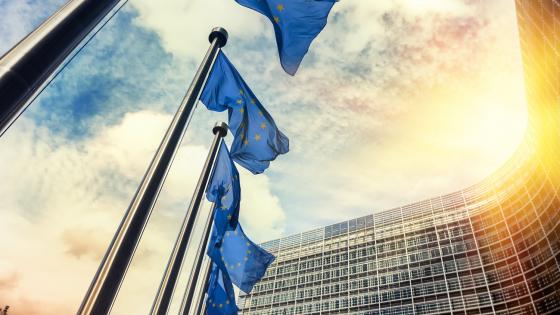 Waving EU flags in front of European Commission in Brussels