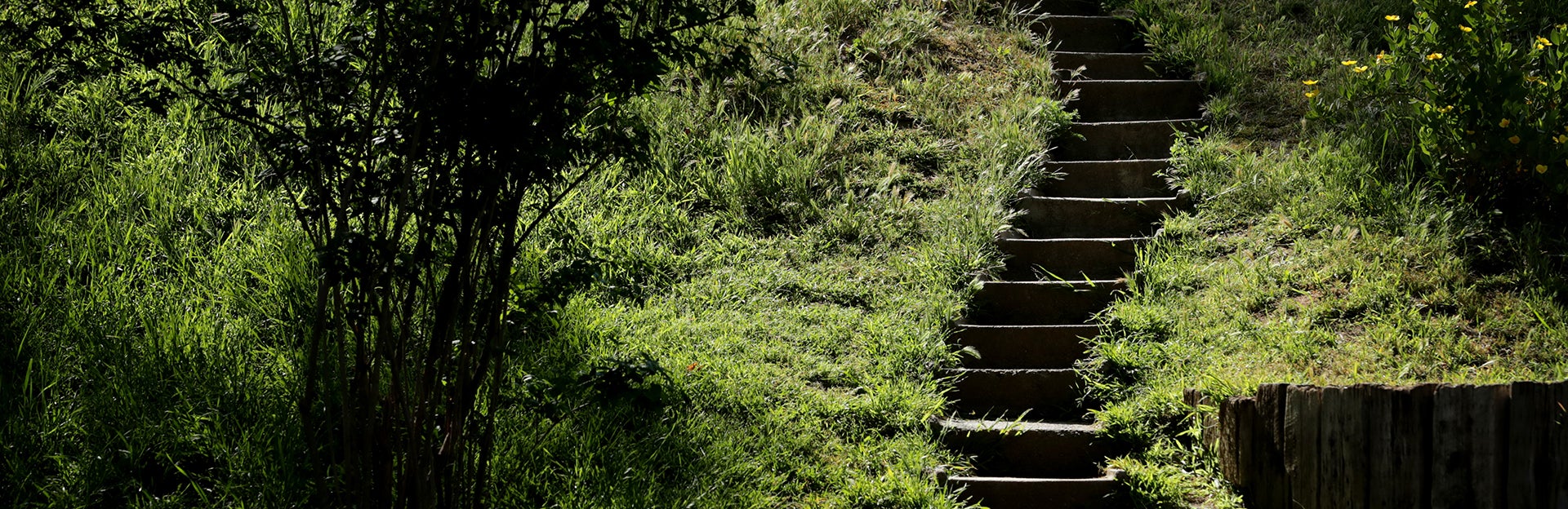 (c) UCR/Stan Lim - Botanic Gardens stairway