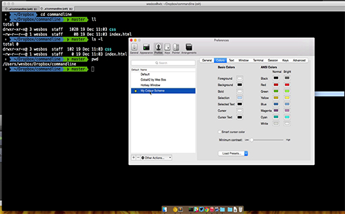 Custom Terminal Colours